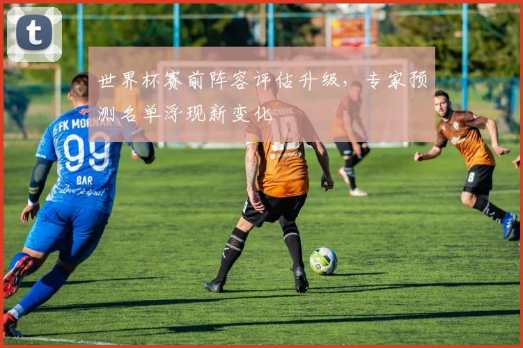 世界杯赛前阵容评估升级，专家预测名单浮现新变化