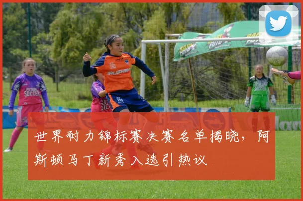 世界耐力锦标赛决赛名单揭晓，阿斯顿马丁新秀入选引热议