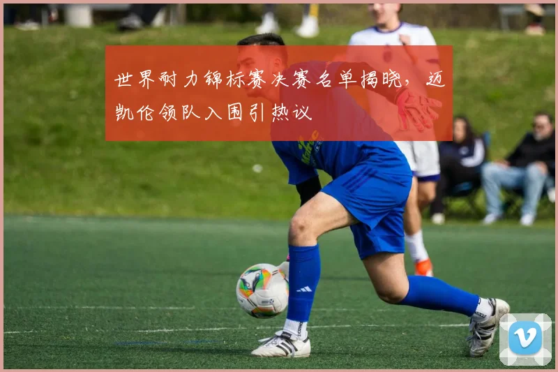 世界耐力锦标赛决赛名单揭晓，迈凯伦领队入围引热议